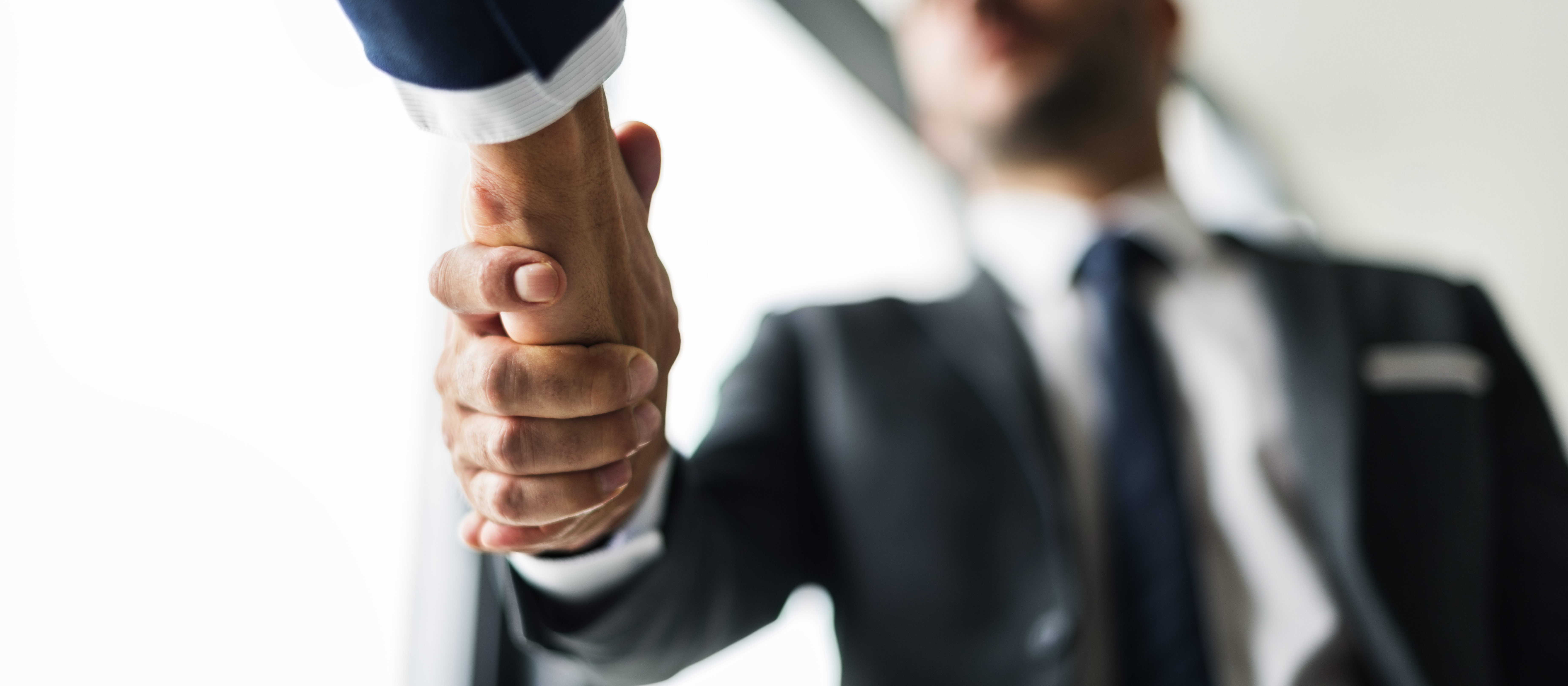 Handshake business men concept